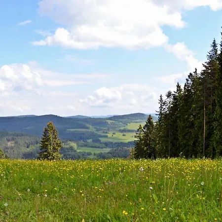 Lipno 50 *