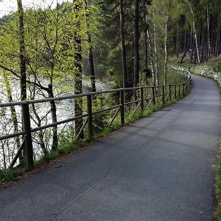 Daire Lipno 50