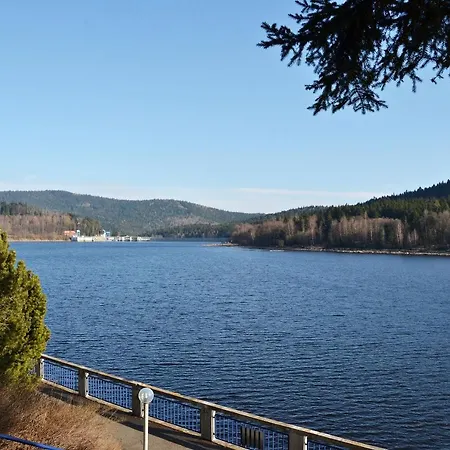 Lipno 50 *