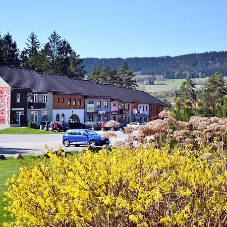 Lipno 50 Lipno nad Vltavou