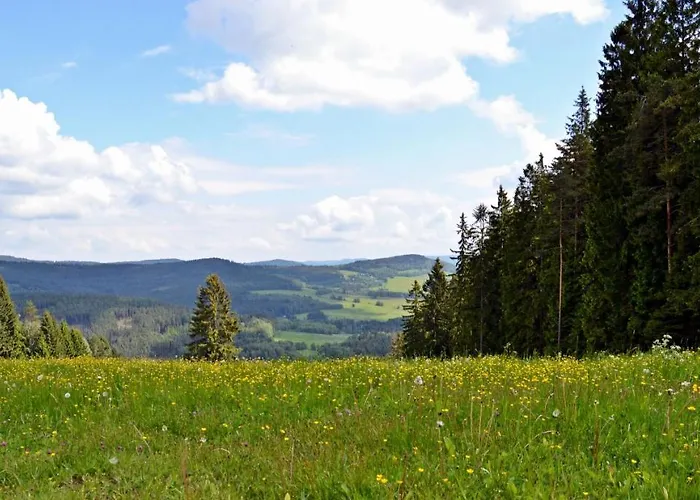 Lipno 50 *