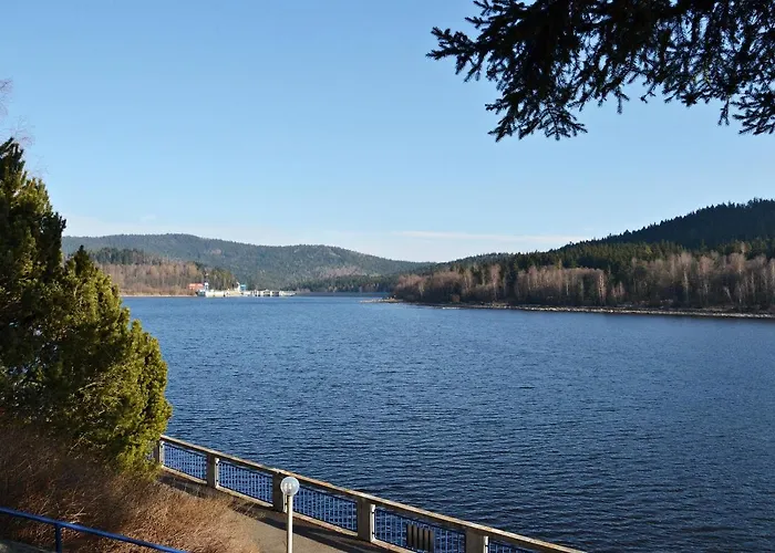 Lipno 50 *